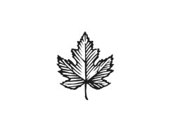 Maple Leaf Icon